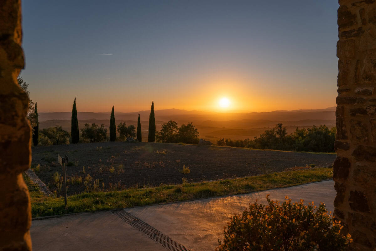 tenuta friggiali_tramonto