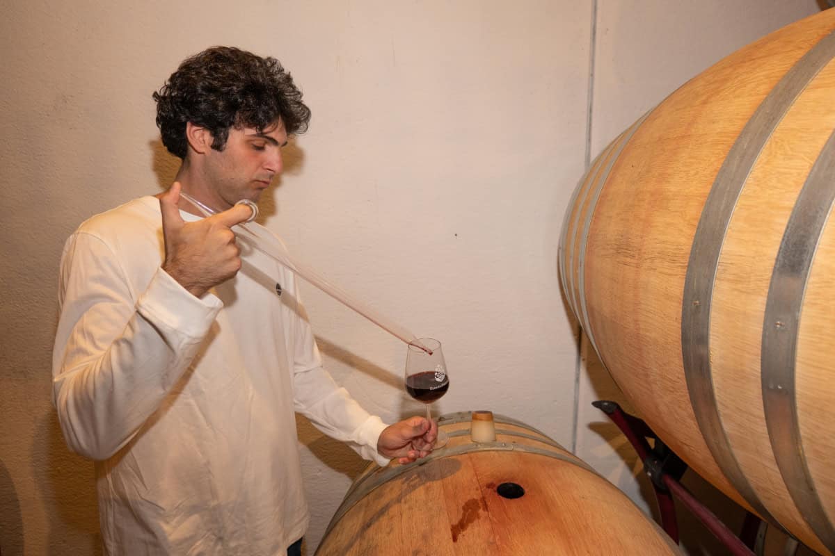 assaggio_cannula_friggiali