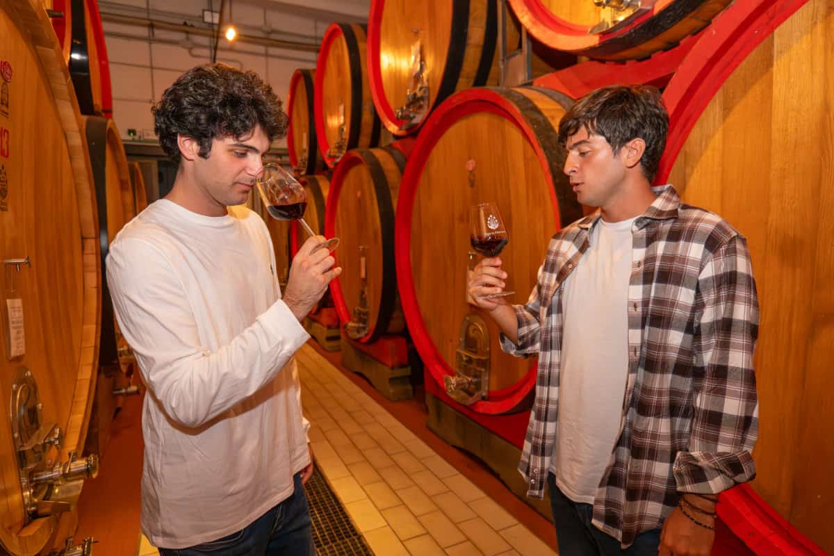 friggiali_degustazione_cantina